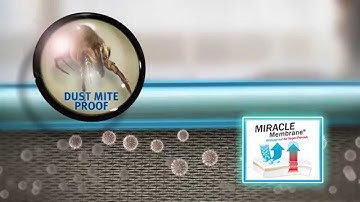 BugLock Plus Bed Bug Proof Mattress Encasement by Protect-A-Bed