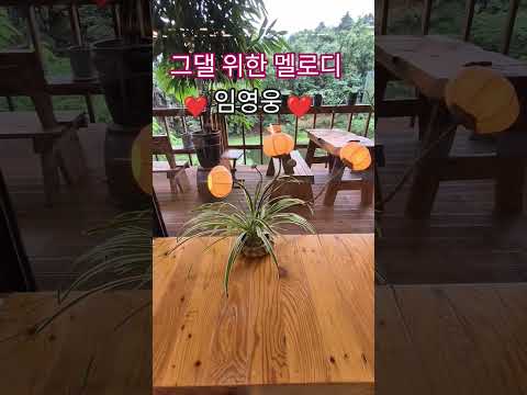 Lim Young Woong S Melody For You 2nd Full Album