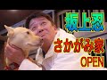 【坂上忍】動物保護ハウス「さかがみ家」をオープン