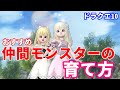 仲間モンスターの特徴とレベル上げについて【ドラクエ10】てぃあのちいさな冒険日記