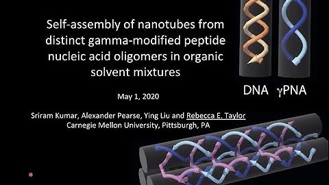 Rebecca Taylor - FNANO 2020 Invited Talk