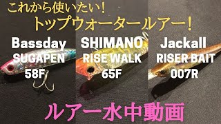 【トップウォーター】水中映像 シュガペン、ライズウォーク、ライザーベイト「SUGAPEN、 RAISEWORK、 RISERBAIT」 ルアー水中動画