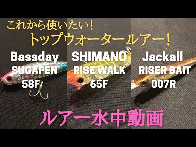 トップウォーター】水中映像 シュガペン、ライズウォーク、ライザー