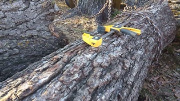 Unloading more logs.