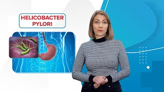Хеликобактер пилори (Helicobacter pylori). В чём опасность и как лечить? «99 Докторов»