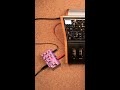 Random Arps with Subsequent 37 and Mood MK2    #shorts #moogsynthesizers #chaseblissaudio