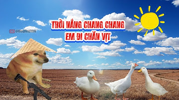 Nhạc chế Ding Ding TV: Trời nắng chang chang, em đi chăn vịt