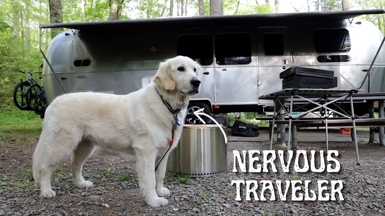 Ensuring Our Dog’s Safety During RV Adventures – Video