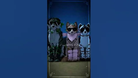 The Trio | • WCUE EDIT • | #wcueedit #roblox #wcue #oc #oclore #wc #fyp #meme #warriorcats #furry