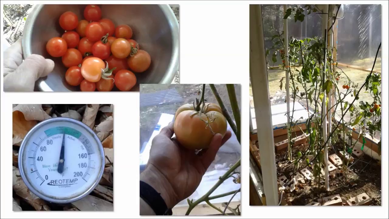 CompostHeated Greenhouse Compost Recipe (part 2 of 3 in 2017 series