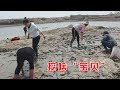 小喬和媽媽下河挖河蚌，一挖一個真過癮，全是大貨！ 【鄉村小喬】