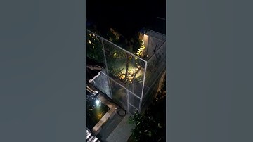 memantau aviary Gemercik hujan #shorts #aviary