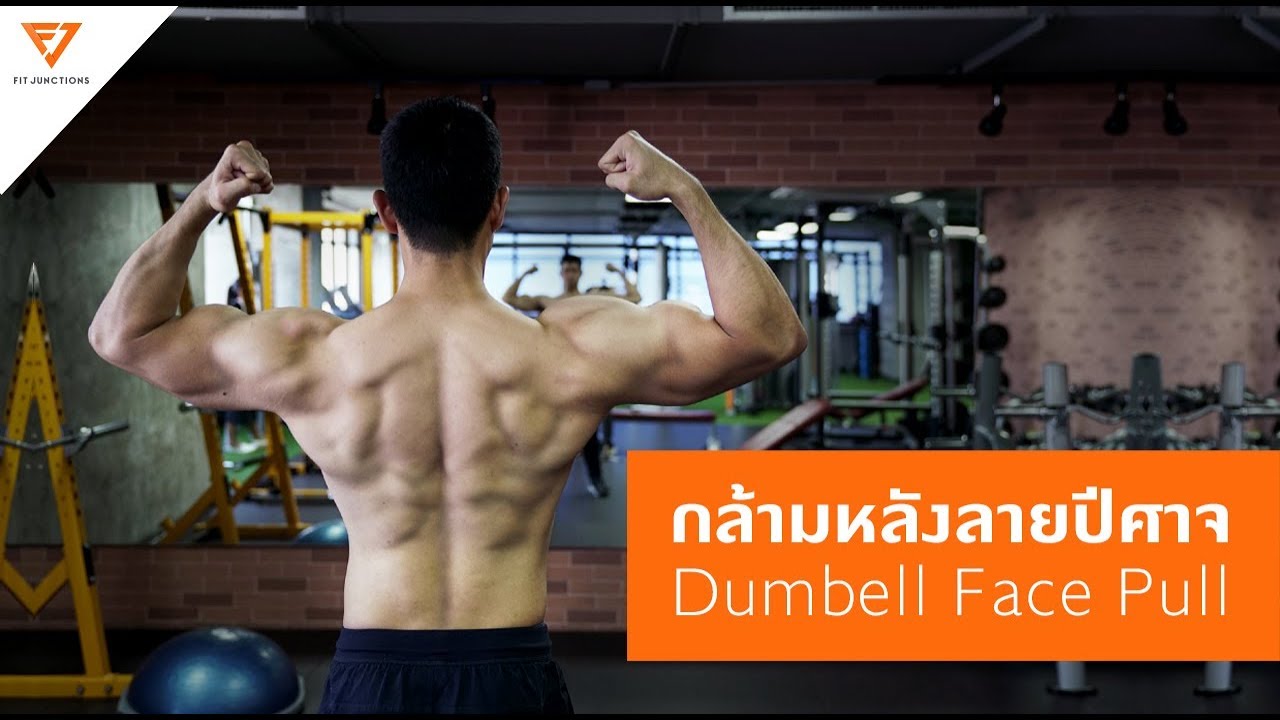กล้ามหลังลายปีศาจ : Dumbell Face Pull [Serious Workout 47] Fitjunctinos
