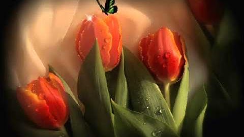 FREDDIE MERCURY - GUIDE ME HOME (PIANO VERSION)