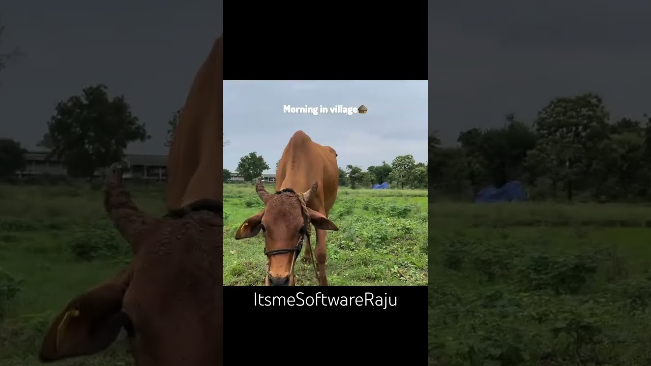 Differences between city & Villages 