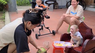 So cute 😍 Monkey David and the baby are waiting for Mom to chop coconut to eat.