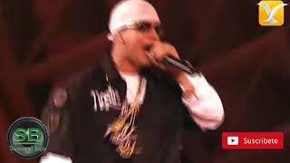 Daddy Yankee - Dale Caliente BASS BOOSTED 2004 viña del mar