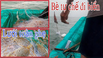 Thả lưới bắt cá dồ , cá nâu , cá tráp , cá hân | Cái kết con 8 chân