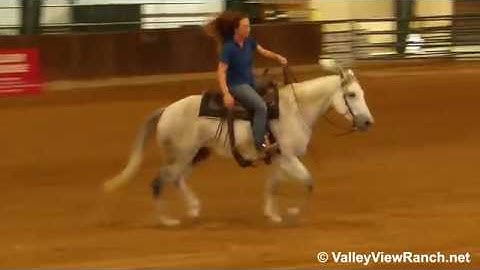 Peptos Miss - reining jog, lope-off, lead changes, big stops! - ValleyViewRanch.net
