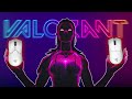 How To Choose The Perfect Mouse for Valorant...