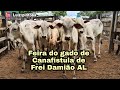 FEIRA DO GADO DE CANAFÍSTULA DE FREI DAMIÃO AL 09/11/2020 LUIZ PINTO