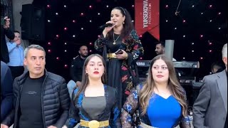 Hozan Menice / Nûfı