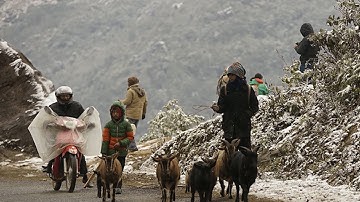 Không khí lạnh tăng cường, vùng núi rét đậm