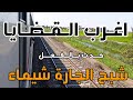 اغرب القضايا شبح الجارة شيماء قصة مليانة بالاثارة والغموض والتشوق اغرب القضايا شبح الجارة شيماء قصة مليانة بالاثارة والغموض والتشوق
