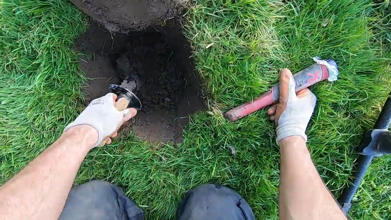 Старинная монета с изображением мантикоры из шахты Minelab в небольшом парке.