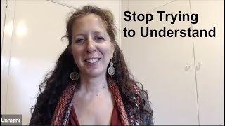 Stop Trying to Understand