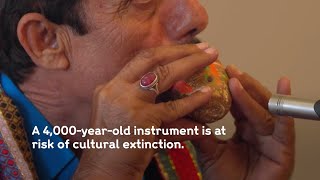 Saving the borindo from extinction: music and climate change in Pakistan