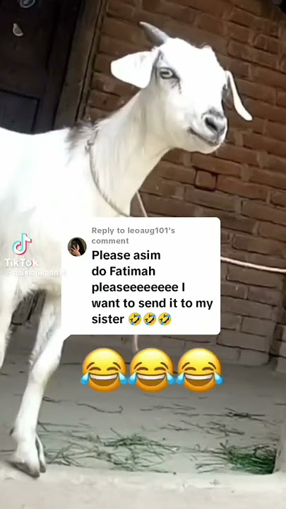 very funny 😂 Fatima #funny