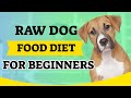 raw dog food diet for beginners. What is the Barf diet?