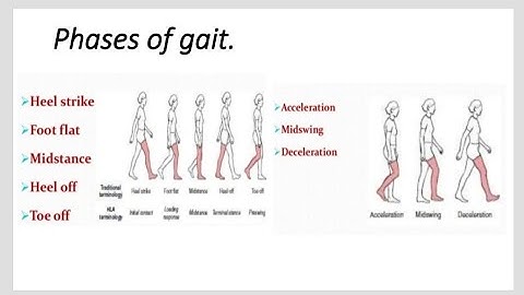 Phases of gait cycle | Exercise therapy |