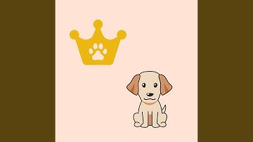 Calm Moods for Lazy Doggo