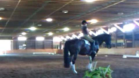 Carol Seaman, canter pirrouettes