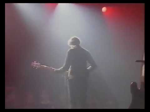 Pale Saints 30 Years Of Crazy Comfort