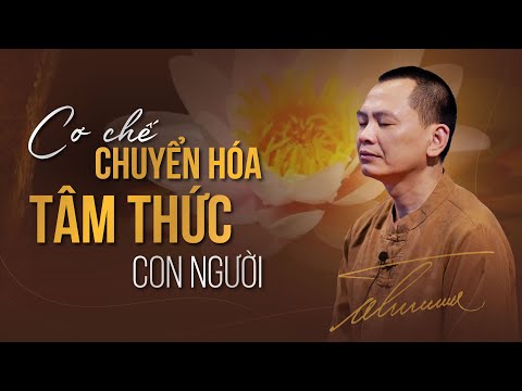 Video: Tiểu sử của Tatyana Golikova: thông tin cơ bản