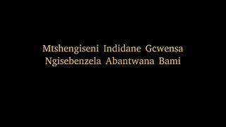 NGISEBENZELA ABANTABAMI by INDIDANE