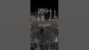 الحج اشهر معلومات) سورة البقرة
