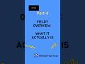 Fieldy Overview: What It Actually Is (Part 4)