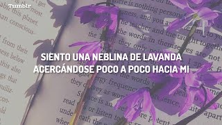 Taylor Swift - Lavender Haze (Acoustic Version) (Español)