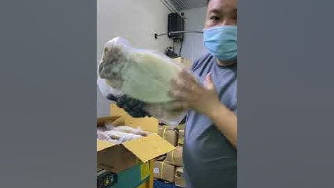 Mực 1 năng cô tô - cách đai thùng catton