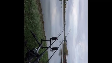 Carp run compilation #1