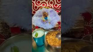 mere laddu Gopal ka ratri ka bhog ??status krishna sawre laal tending