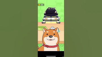 Hide and Seek cat escape #43| #shorts