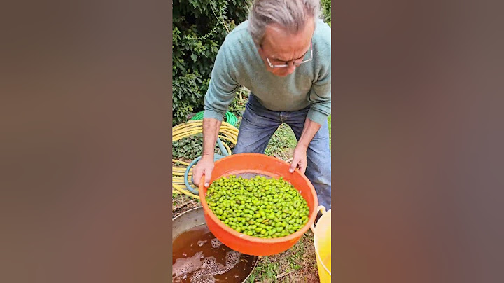 Faire ses olives pitchoulines maison😍 #recette #olive #diy