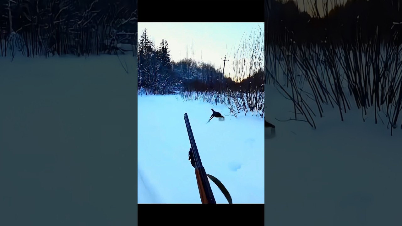 You Won’t Believe What Jumps Out of the Snow! 