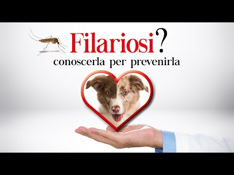 Video: Tendenze Temporali Regionali E Locali Nella Prevalenza Di Infezione Da Filaria Canina Negli Stati Uniti Contigui: 2012–2018