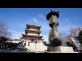 Nagano niigata and tokyo new years adventure part 1